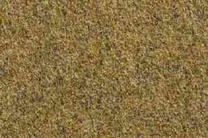 Ковролин Vebe Lindau 55 фото  | FLOORDEALER