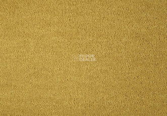 Lano Dream 371 Gold 1 фото 1 | FLOORDEALER