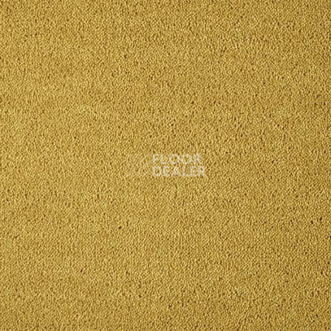 Ковролин Lano Dream 371 Gold 1 фото 1 | FLOORDEALER