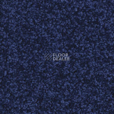 Ковровая плитка Balsan Serenite Sonic Confort 191 фото 1 | FLOORDEALER