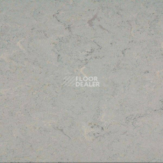 Линолеум Marmorette DLW 2.5mm 121-055 фото 1 | FLOORDEALER