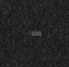 Грязезащитные покрытия Forbo Coral Pro-fit Quattro в плитке свободной укладки 4730 Raven Black фото 1 | FLOORDEALER
