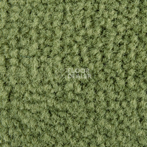 Balsan Les Best S 255 фото 2 | FLOORDEALER