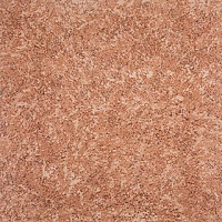 Линолеум Grabo Terrana Top Extra 4261-253 фото 1 | FLOORDEALER