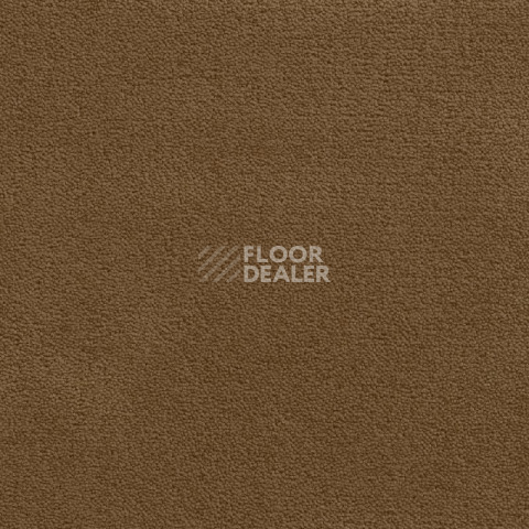 Ковролин Condor  Magic 90 фото 1 | FLOORDEALER