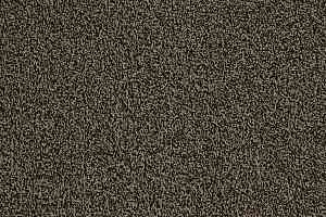 Ковролин Betap Centenial 901 фото  | FLOORDEALER