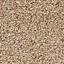 Ковролин Edel Charisma 105  | FLOORDEALER