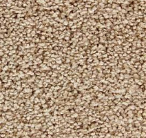 Ковролин Edel Charisma 105 фото 1 | FLOORDEALER