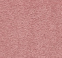 Ковролин Vorwerk Passion 1001 Vorwerk 1l98 фото 1 | FLOORDEALER