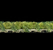 Desso Grain 7272 фото 4 | FLOORDEALER