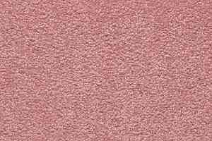 Ковролин Vorwerk Passion 1001 Vorwerk 1l98 фото  | FLOORDEALER