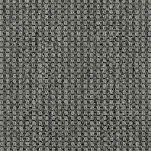 Ковролин Carpet Concept Goi 4 290506 фото ##numphoto## | FLOORDEALER
