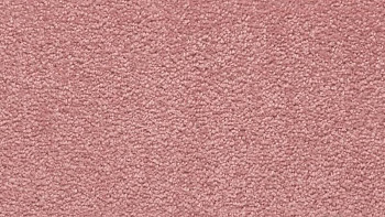 Ковролин Vorwerk Passion 1001 Vorwerk 1l98 фото 1 | FLOORDEALER