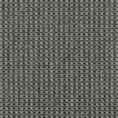 Ковролин Carpet Concept Goi 4 290506 фото 1 | FLOORDEALER