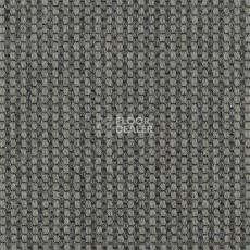 Ковролин Carpet Concept Goi 4 290506 фото 1 | FLOORDEALER