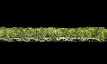 Desso Grain 7272 фото 4 | FLOORDEALER