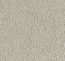 Ковролин Lano Soft Perfection 462 фото 1 | FLOORDEALER