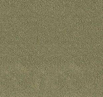 Ковролин Desso Asteranne 7853 фото 1 | FLOORDEALER