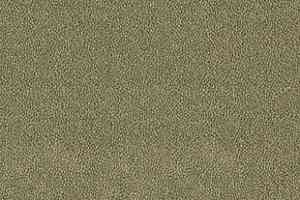 Ковролин Desso Asteranne 7853 фото  | FLOORDEALER