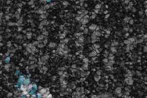 Ковролин Balsan Lily 911 фото  | FLOORDEALER