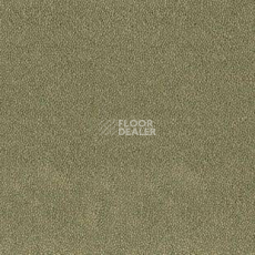 Ковролин Desso Asteranne 7853 фото 1 | FLOORDEALER