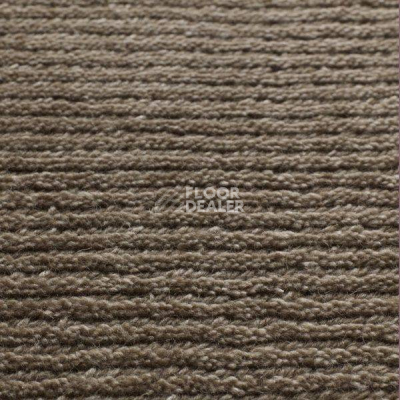 Ковролин Jacaranda Carpets Rampur Taupe фото 1 | FLOORDEALER