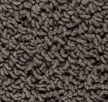 Ковролин Best Wool Pure Royal Marquis 179 фото 1 | FLOORDEALER