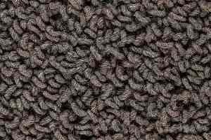 Ковролин Best Wool Pure Royal Marquis 179 фото  | FLOORDEALER