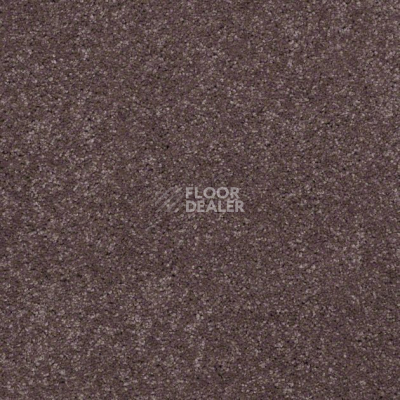 Ковролин Shaw Design Texture Platinum 922 фото 1 | FLOORDEALER