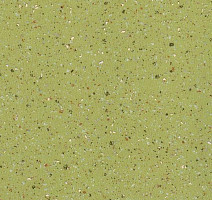 Линолеум Forbo Emerald Standart 8052 фото 1 | FLOORDEALER