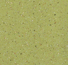 Линолеум Forbo Emerald Standart 8052 фото 1 | FLOORDEALER