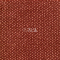 Ковролин Sintelon Podium 27713 фото 1 | FLOORDEALER