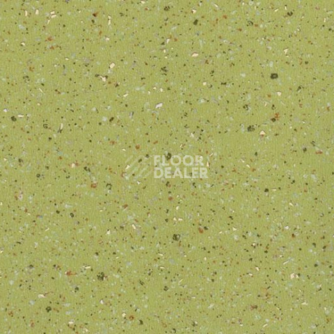 Forbo Emerald Standart 8052 фото 1 | FLOORDEALER