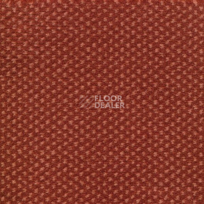 Ковролин Sintelon Podium 27713 фото 1 | FLOORDEALER