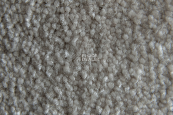 AW Masquerade Fedone 45 фото 2 | FLOORDEALER