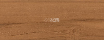 Плинтус Dollken EP 60/13 2364 фото 2 | FLOORDEALER