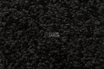 Balsan Serenite 980 фото 2 | FLOORDEALER