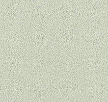 Ковровая плитка Westbond Ibond Natural 9152 фото 1 | FLOORDEALER