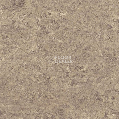 Линолеум Marmorette DLW  2mm 0106 Hazelnut Shake фото 1 | FLOORDEALER