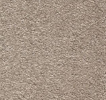 Ковролин AW Invictus Scorpius 39 фото 1 | FLOORDEALER