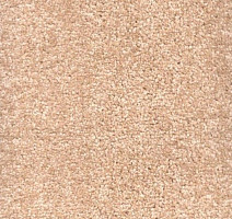 Зартекс Карнавал