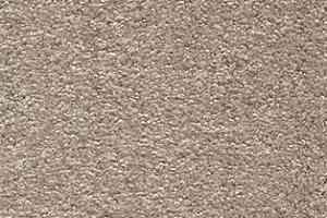 Ковролин AW Invictus Scorpius 39 фото  | FLOORDEALER