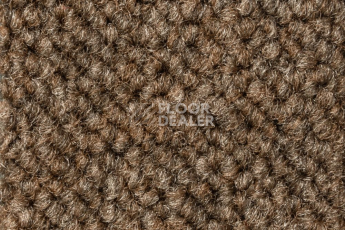 Ковровая плитка Betap Larix 98 фото 1 | FLOORDEALER