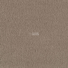 Creatuft Sheba 1030 Greige 4 + 5m фото 1 | FLOORDEALER