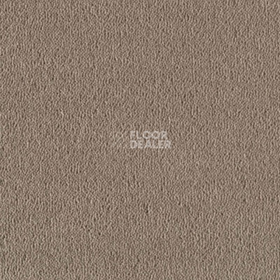 Ковролин Creatuft Sheba 1030 Greige 4 + 5m фото 1 | FLOORDEALER