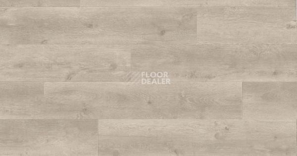Ламинат Haro Tritty 100 4V ДУБ БЕРГАМО СЕРЕБРЯНО-СЕРЫЙ 541470 фото 1 | FLOORDEALER