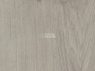 Кварцвиниловые полы Primus Plank Royal Oak Dove фото 1 | FLOORDEALER