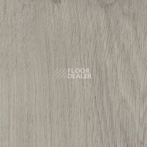 Кварцвиниловые полы AW Invictus Primus Plank Royal Oak Dove фото 1 | FLOORDEALER