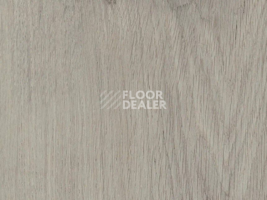 Кварцвиниловые полы AW Invictus Primus Plank Royal Oak Dove фото 1 | FLOORDEALER