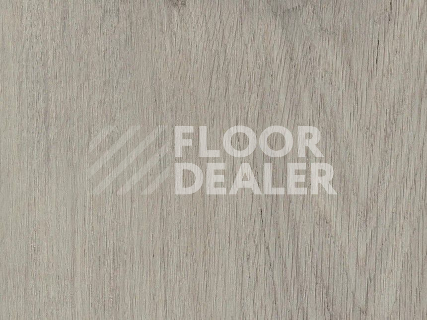 Кварцвиниловые полы Primus Plank Royal Oak Dove фото 1 | FLOORDEALER